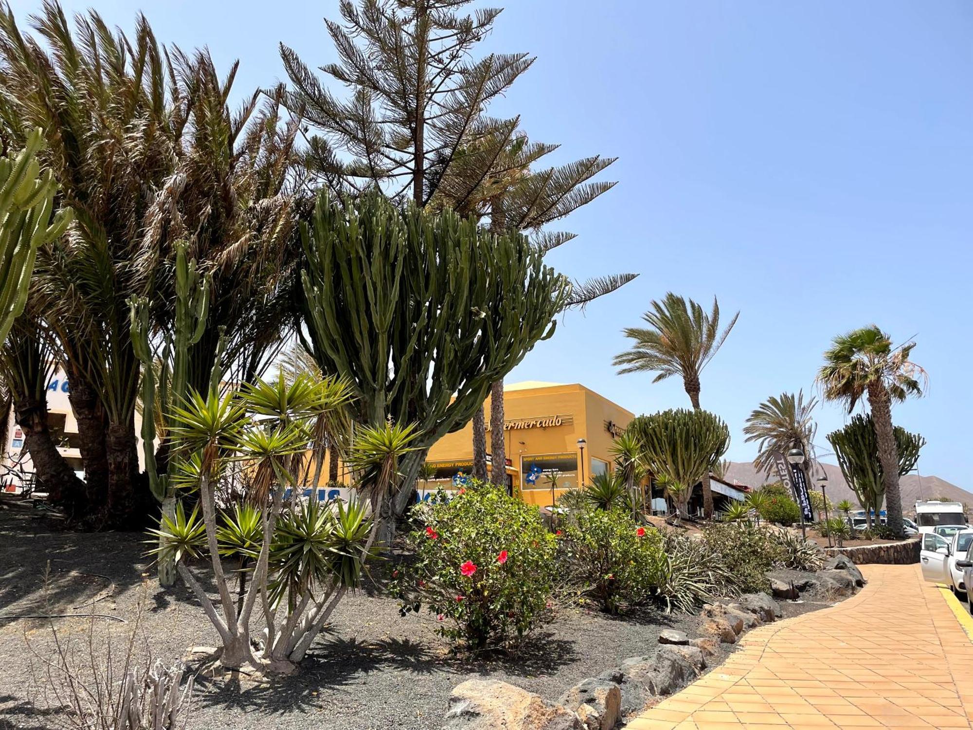 Apartmán Casa Relax Papagayo Corralejo Irent Fuerteventura Exteriér fotografie